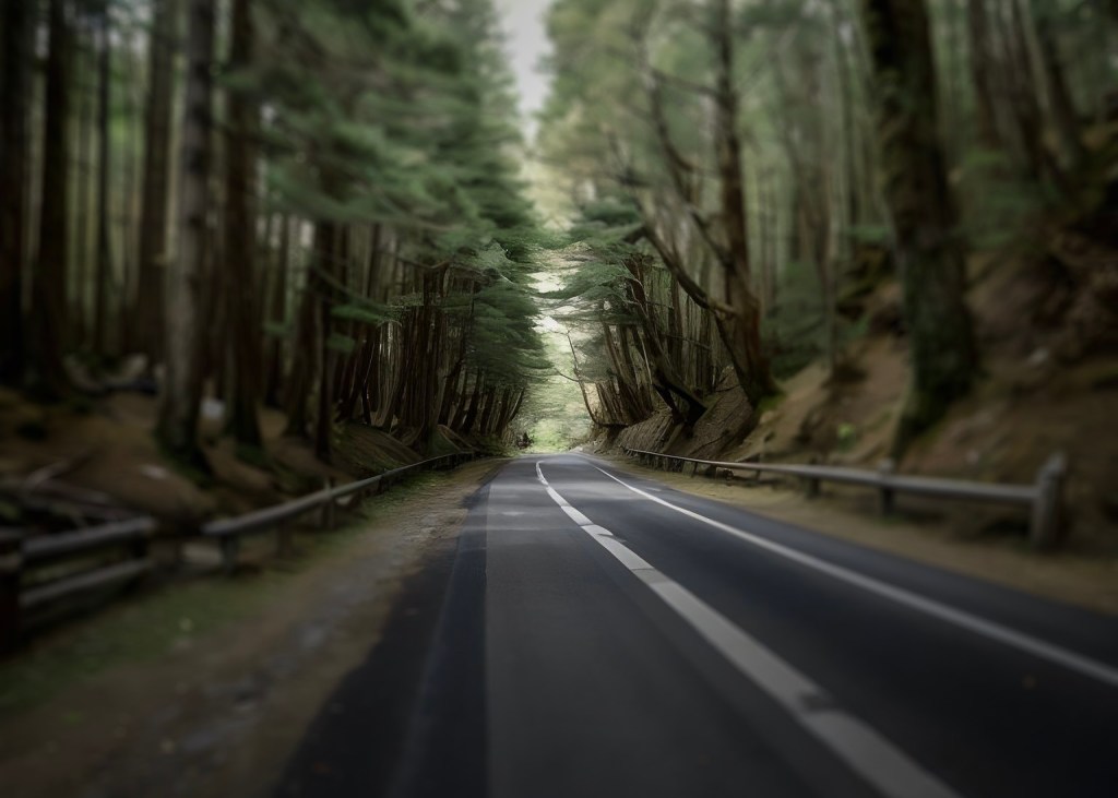 番外編・堂々巡り